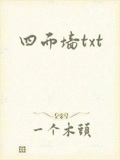 四面墙txt
