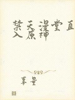 禁天漫堂直接进入原神