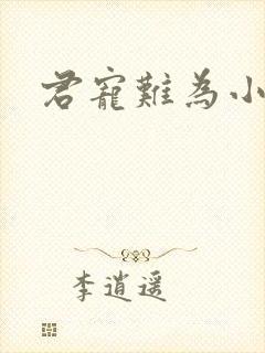 君宠难为小说