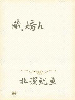 藏娇h封面
