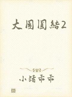 大团圆结2