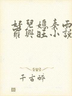 好儿媳秦雨罗明罗兴旺小说