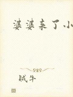 婆婆来了小说