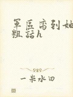 军区脔到她哭h粗话h封面