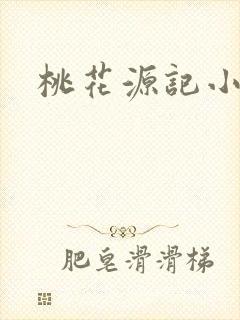 桃花源记小说封面
