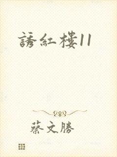 诱红楼11