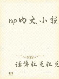 np肉文小说封面