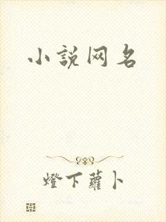 小说网名