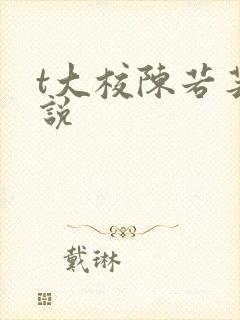 t大校陈若芸小说