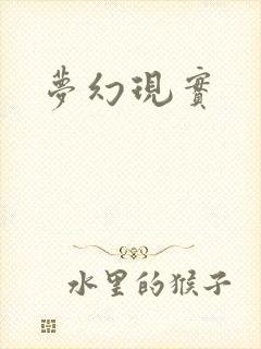 梦幻现实封面