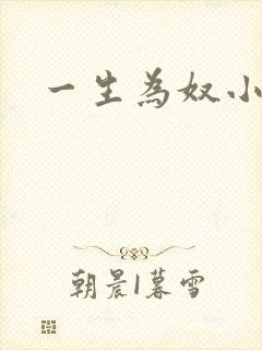 一生为奴小说