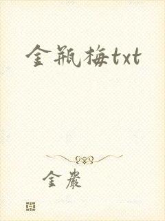 金瓶梅txt封面