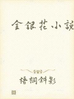 金银花小说乐可