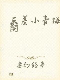 反差小青梅笔趣阁