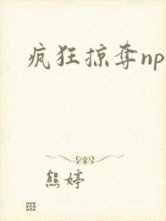 疯狂掠夺npc
