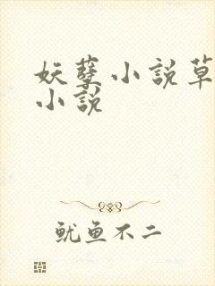妖孽小说草莓酱小说