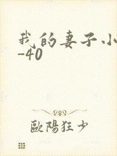 我的妻子小谨1-40