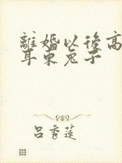 离婚以后高干 耳东兔子封面