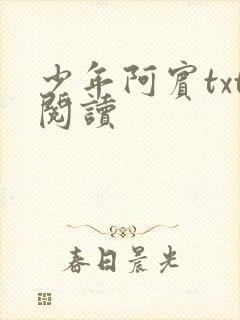 少年阿宾txt阅读