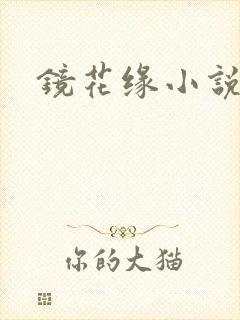 镜花缘小说封面