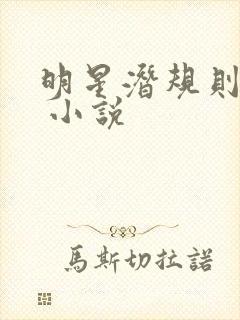 明星潜规则之皇 小说