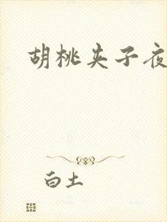 胡桃夹子夜未眠