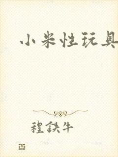 小米性玩具日记