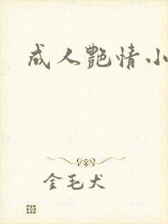 成人艳情小说