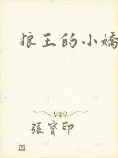 狼王的小娇妻封面