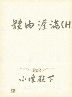 体内灌满(H)封面