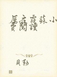 厉夜霆苏小汐免费阅读