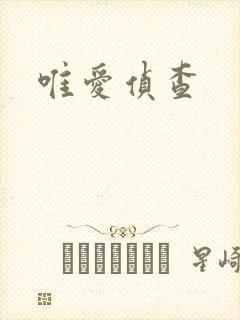 唯爱侦查