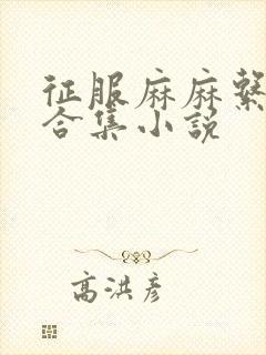 征服麻麻系列大合集小说封面