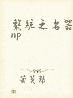 系统之名器攻略np