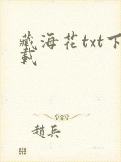 藏海花txt下载