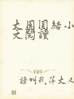 大团圆结小茹全文阅读