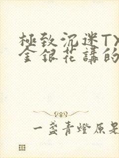 极致沉迷TXL金银花讲的什么