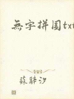 无字拼图txt