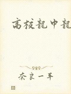 高校龙中龙