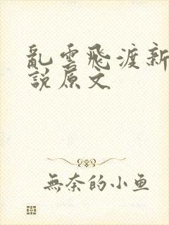乱云飞渡新编小说原文封面