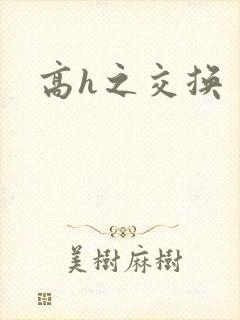 高h之交换封面