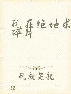 我在绝地求生捡碎片