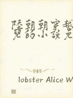 陆朝朝穿越成婴儿的小说免费阅读全文