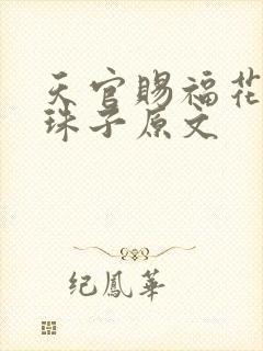 天官赐福花怜塞珠子原文封面