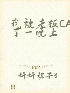 我被老板CAO了一晚上封面