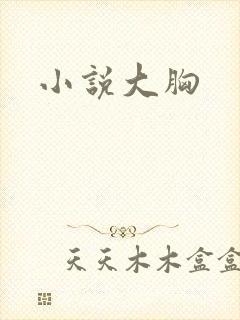 小说大胸