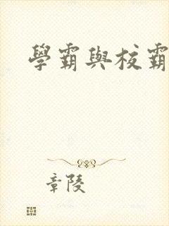 学霸与校霸封面