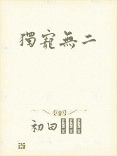 独宠无二封面