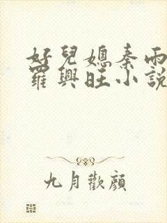 好儿媳秦雨罗明罗兴旺小说