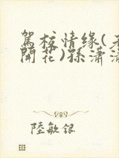 驾校情缘(老树开花)孙潇潇笔趣阁